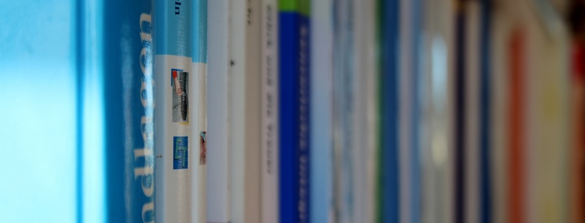 Books lined up vertically in a row
